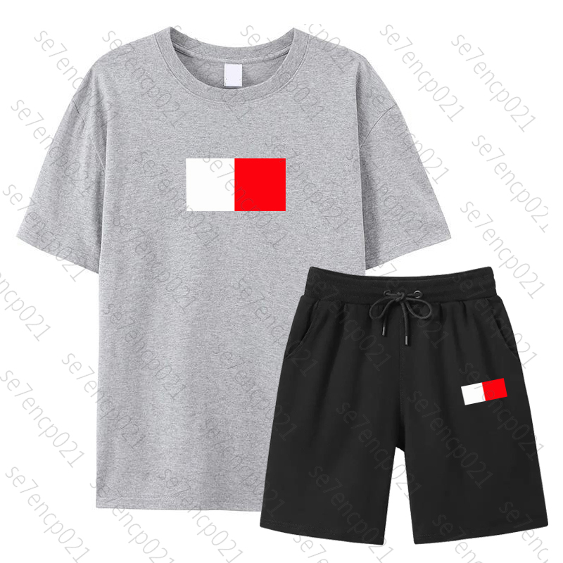 Summer Men's Tracksuit Gray T-shirt Shorts 2pcs Set Urban Casual Fashion Sportswear Male Home Outdoor Comfort Cool Tees Outfit-image-756151139