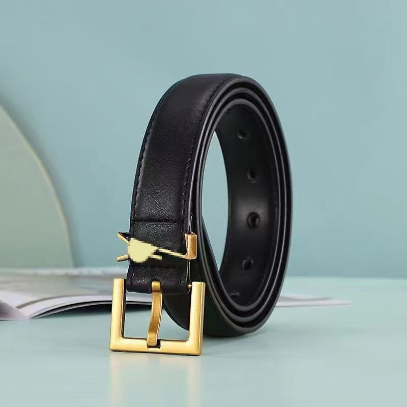 High quality luxury women's belt luxury designer casual fashion ins Belt Genuine Leather Cowskin Belt With Belt Case