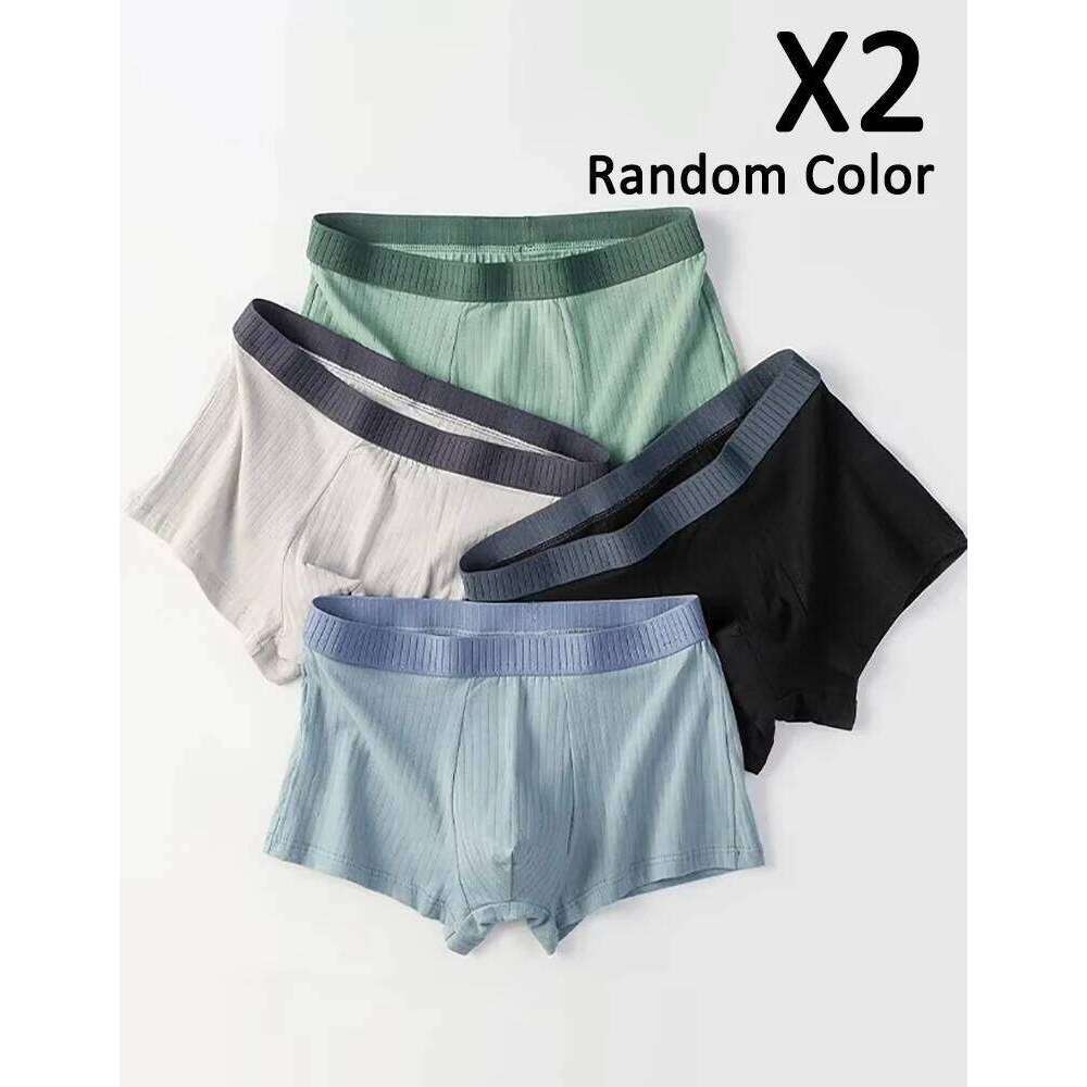 2PCS Random Men's Panties Underwears Boxers Men Underpants Cotton Thermal for Man Breath Able Homme Sexy Soft Male Short