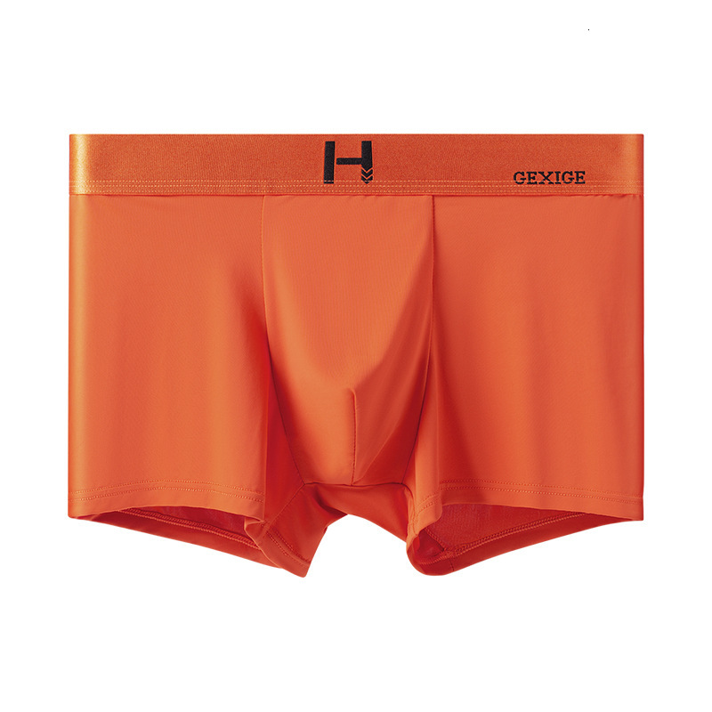 Premium Designer Mens Ice Silk Boxer Briefs Thin Cool Feeling Quick Dry Magnetic Crotch Breathable Elastic Luxury Gift Box Pack Underwear