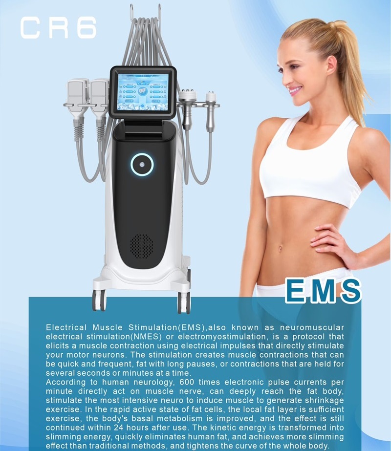 Multifunction 360 Cryo Fat Freezing Slimming Weight Loss Ems Sculpting Cryolipolysis Machine RF Skin Rejuvenation Face Lifting Cellulite Removal Sli