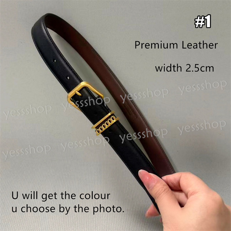 Premium Leather Belt Fashion Women's Belts 2.5cm Width Belt with Gift Box for Women or Men-image-983928817