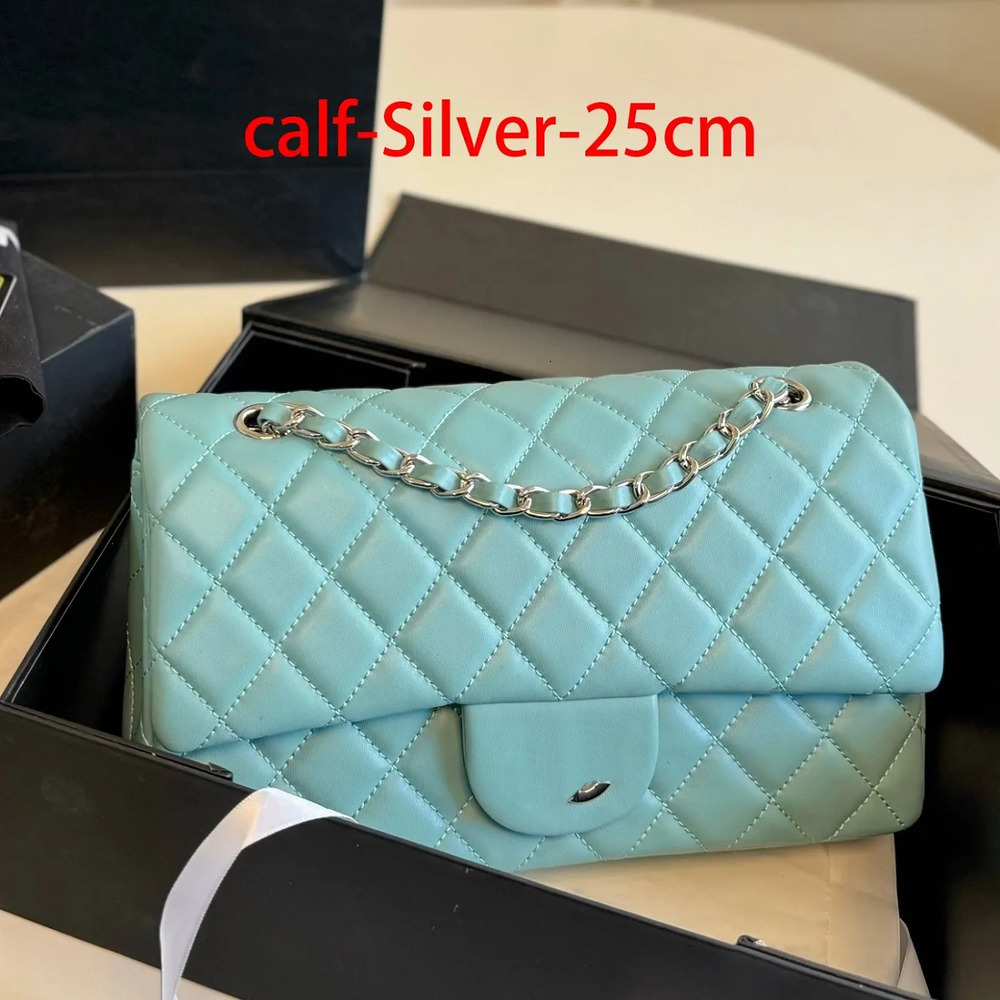 Designer CF Bag Paris Purse Luxury Brand Handbags 25 cc bag Women Shoulder Bags cheneI bag Tote Clutch Crossbody Purses Leather 26ss fgh
