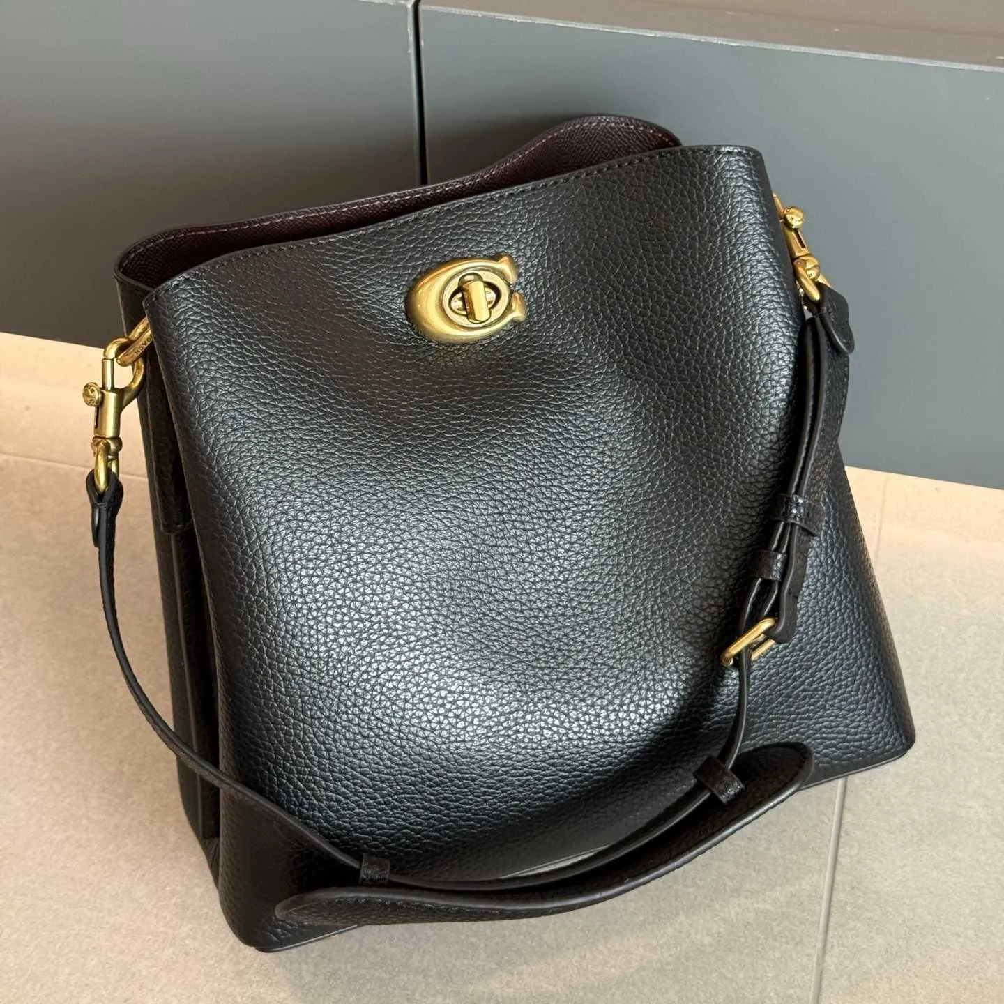 Pink Willow Soft Bucket Bag Designer Shoulder Bags Molie Town Totes Bag Printed Leather Handbags Women Purse Large Handbag Various Styles Wers Cherr