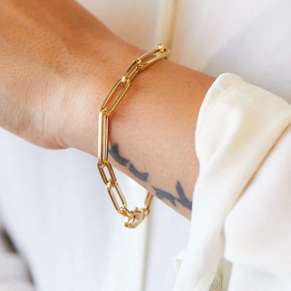 Elegant Ladies' Accessory: Hypoallergenic High-end Jewelry Bracelet Featuring Lasting Shine-image-1108157130