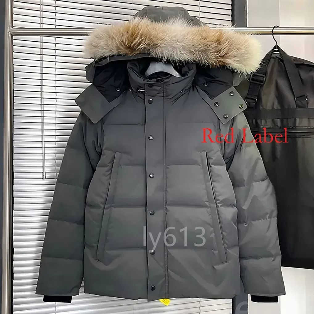 Doudoune Puffer Jacket Designer Wyndham Goose Men Winter Warm Windproof Luxury Women Down Jacket Fashion Hoody Coats XS-2XL