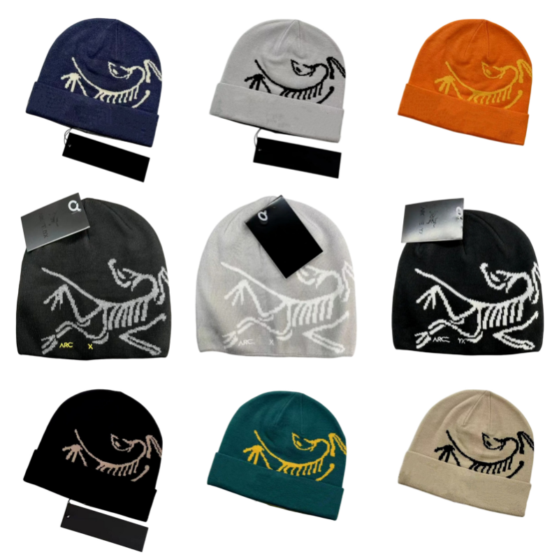 Beanie Designer Men Hat Ski Classic Skull Cap Designer Winter Hat Bonnet Luxe Embroidered Knitted Hats For Mens Muts Sport Hiking Warm dd1315