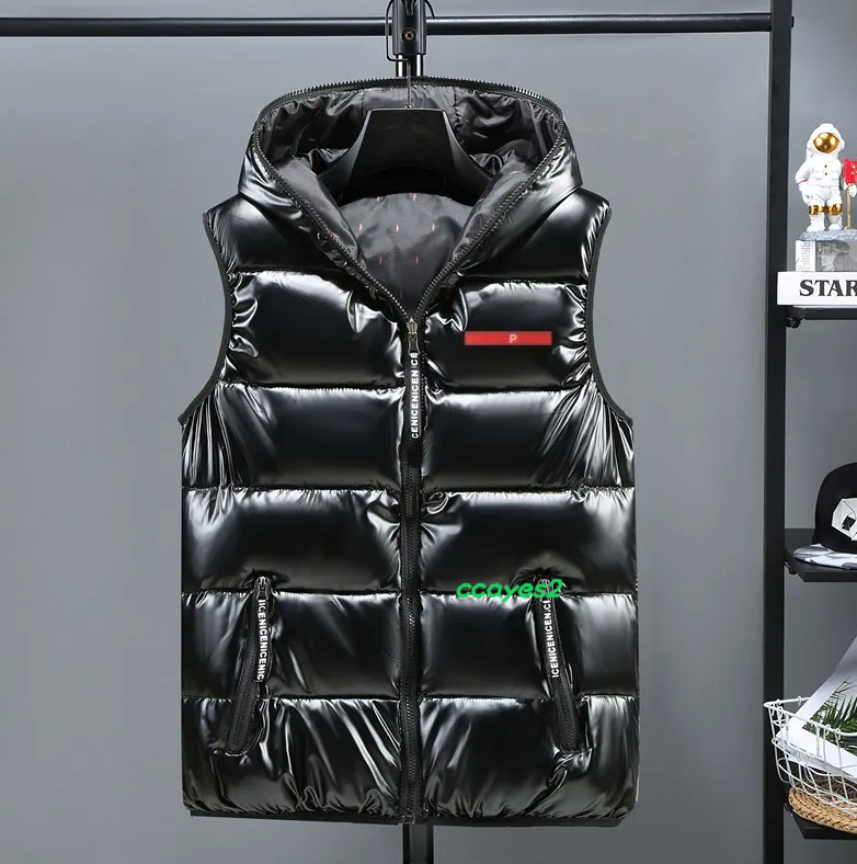 Winter clothes down vest jcket clssic prk cots for men's women's pprel swetsuit windbreker designer dress sweter shirt blouses hoodie swet