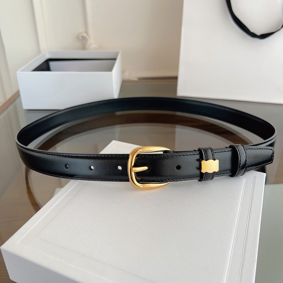 Designer 2,5 cm unisexe ceinture sangle classique mode luxe à la mode femmes métal noir argent doré argent boucle durable réglable moderne exquis