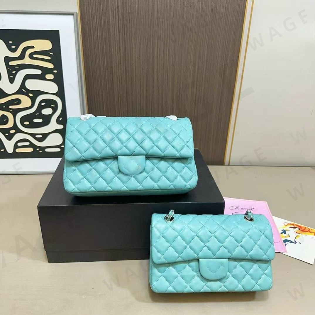 2026 New Quilted Leather Flap Shoulder Bag for Women, Niche Design Vintage Sheepskin Underarm Crossbody Purse, Retro Classic Small Handbag-2