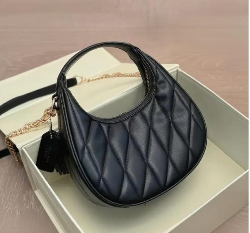 Women Luxury Quilted Hobo Bag Diamond Stitch Chain Shoulder Crossbody Handbag Fashion Purse