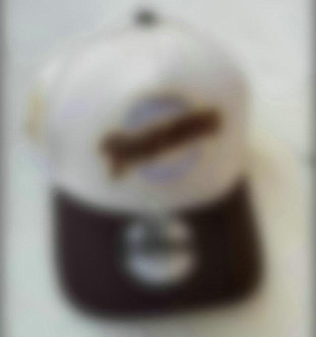 226 Padres Basketball Snapback 225 World Series Baseball Champs Champions Snap Back Hats Womens Mens Flat Caps Strapback Hip Hop Cap Sports Fitted s