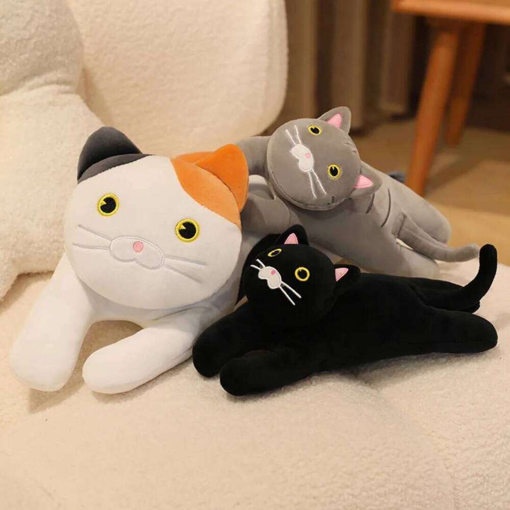 Cute new kitten plush doll, pillow cushion for men and women H260224-image-1095360165