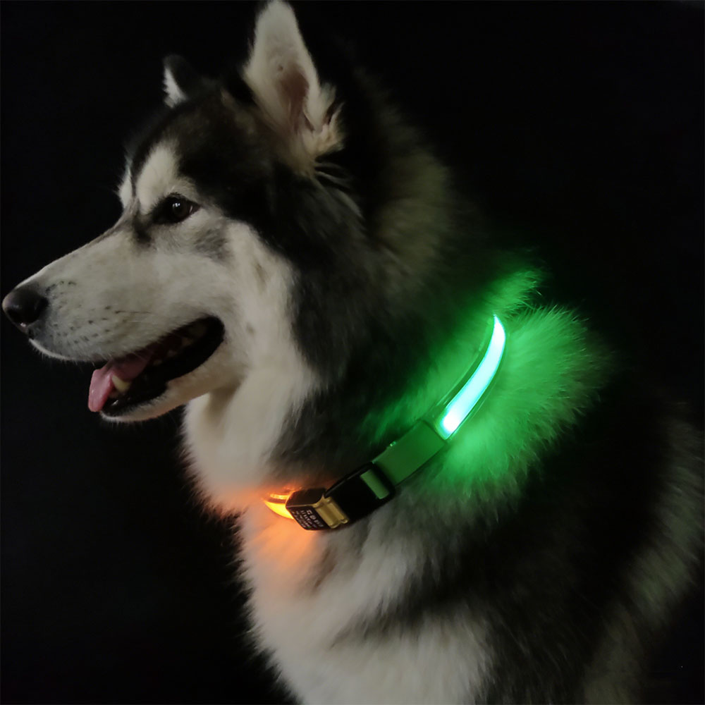 COMMIXCN 2 Pack LED Dog Collar, Light Up Reflective Collar for Small Medium Large Dogs, Universal Use with Standard Buckle, Adjustable for Night-image-1096587912