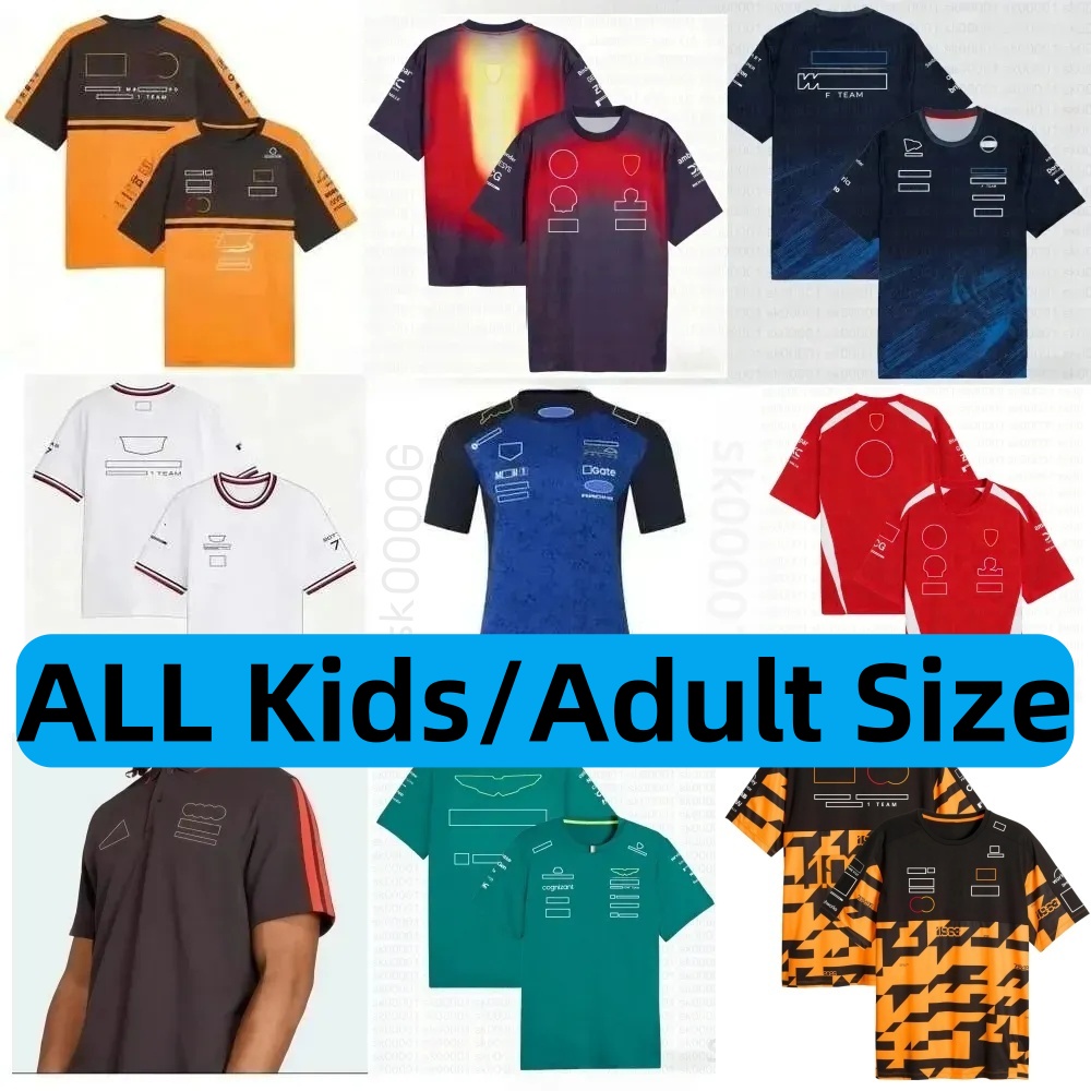 High quality Formula 1 f1 2026 t shirt Racing Team T shirts Fans Casual Breathable POLO Shirt Summer Car Jersey Shirts Plus Size Custom Jacket Sweat