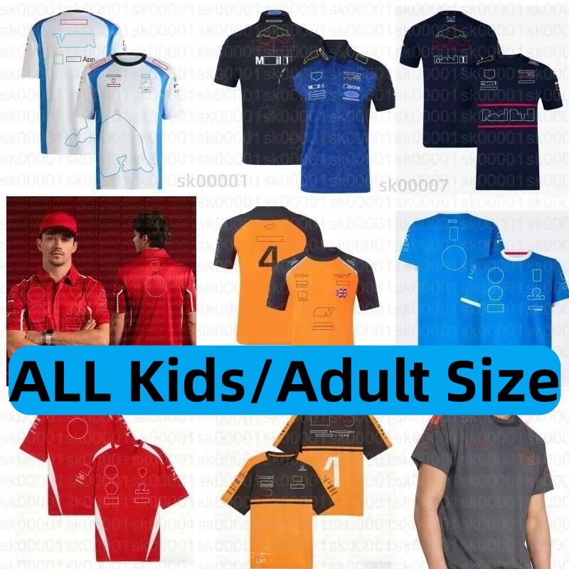 High quality Formula 1 f1 2025 2026 t shirt Racing Team T shirts Fans Casual Breathable POLO Shirt Summer Car Jersey Shirts Plus Size Custom Jacket