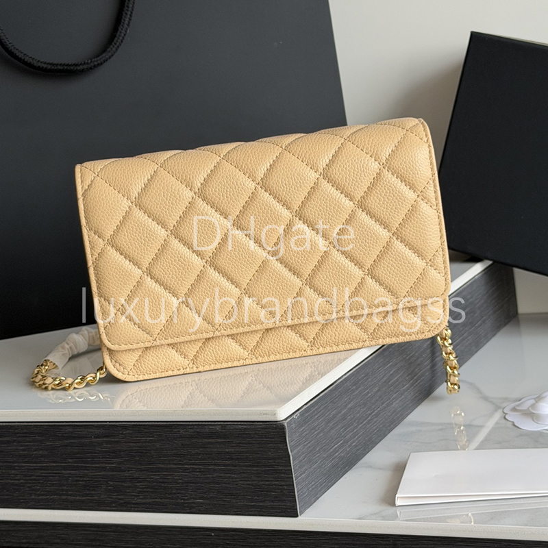 10A Mirror quality Wallet On Chain Crossbody Bag Designer Bag For Women Flap Bag Calfskin Shoulder Bag With Box CAP0250A
