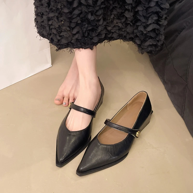 Spring and Autumn Womens Jane Pointed Shoes Korean Style Ladies Casual High Heels Work and Party Wear 260623