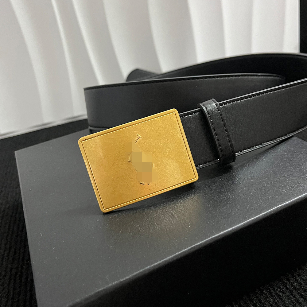 Belts New mens belt - high-quality brand alloy buckle 40cm width polo series - fashionable and business-oriented belt designer beltAA