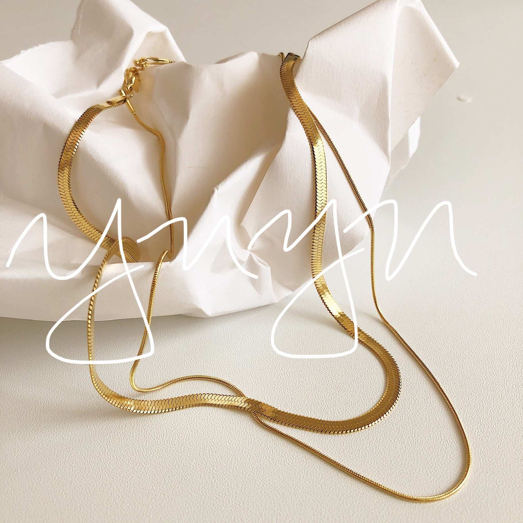 Jewelry Double Layer Snake Bone Chain Women Flat Thick Thin Internet Celebrity Hot Style Simple and Titanium Steel Gold Plated Choker