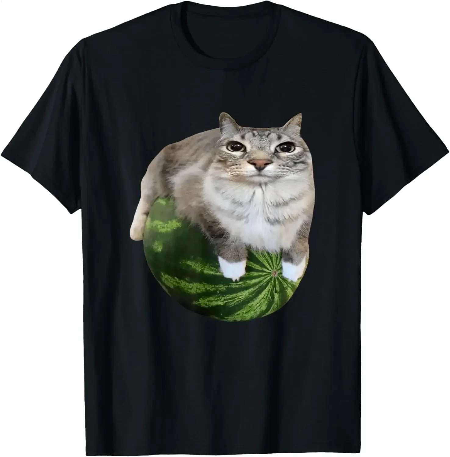 T-shirt meme gatto sciocco gatto anguria Una divertente camicia con stampa anguria è un elegante top unisex sia per uomo che per donna 260625