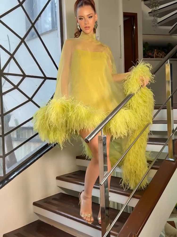 Basic Casual Dresses Women Mock Neck Mesh Long Sleeve Dress Feather Ruffle Hem High Low Sheer Tulle Mini Maxi Hybrid Evening Party Gown Elegant Dres