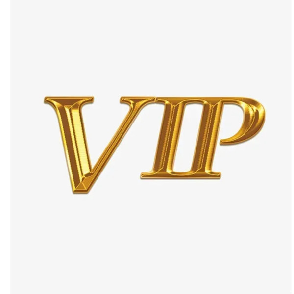 VIP1 Payment Link for Not Listed More style bag shoes belt Designer woman bag handbag Fashion brand shoulder bags purse shoulder bags Shoulder bag
