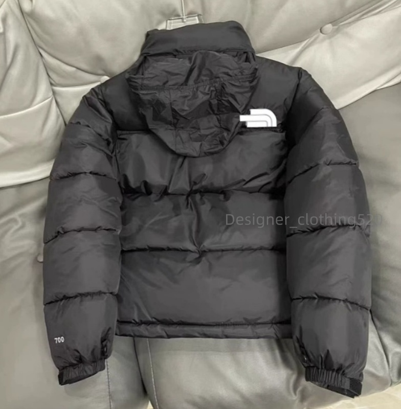 Men NF Puffer Jacket Designer Men Jackets Hidden Hood Jacket Northism Faceism 700 Coat Fill Parka Winter Hooded Men Women Overcoat Down Jacket Thick