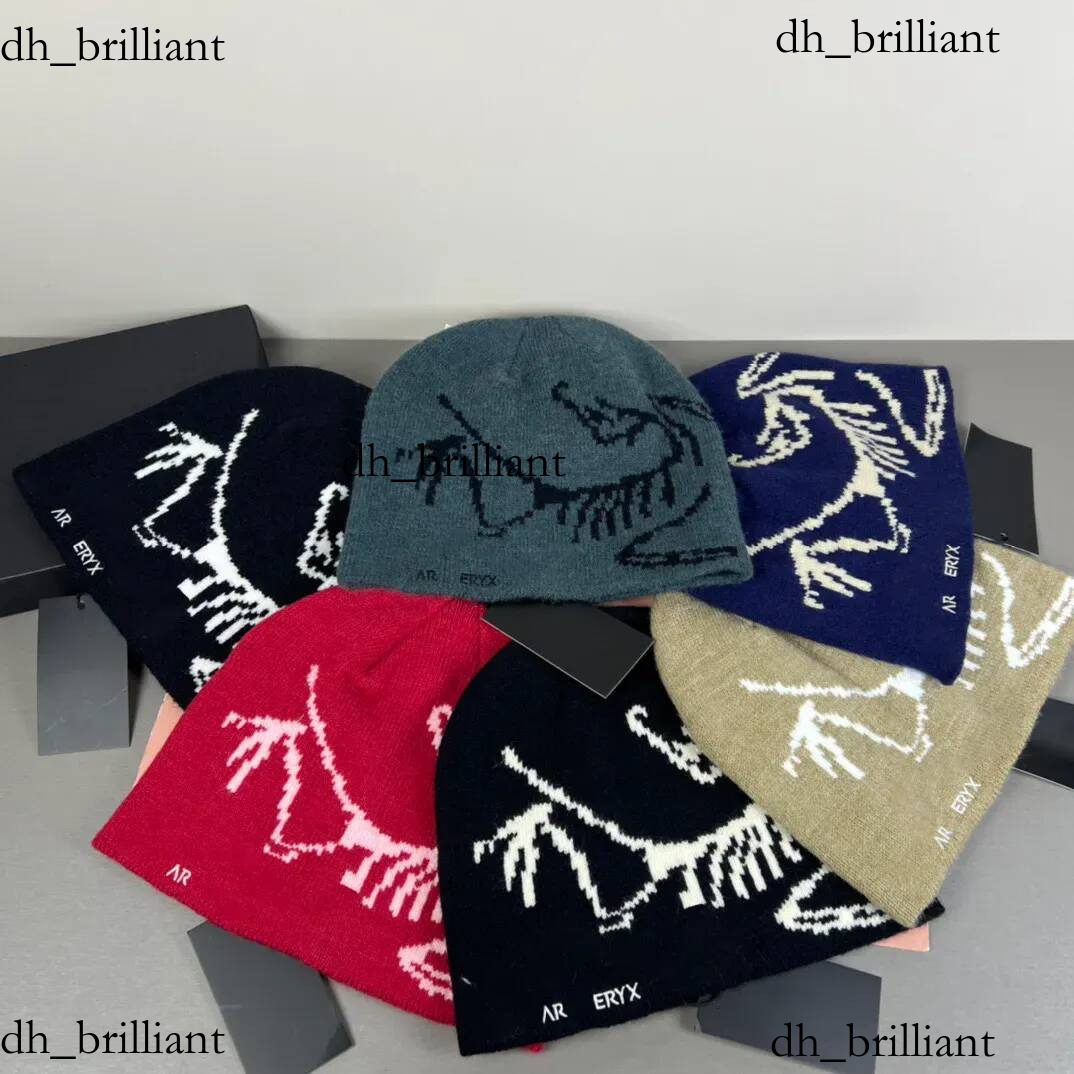 designer wool luxury cashmere hat embroidered ancient bird pattern street fashion brand beanie autumn and winter warm ski hats Hot