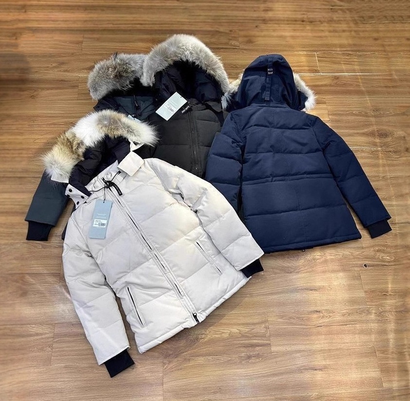 winter jacket women down jacket womens puffer jackets warm windproof parkas filled coat stand collar fashion luxury Jacket outdoor casual embroidere