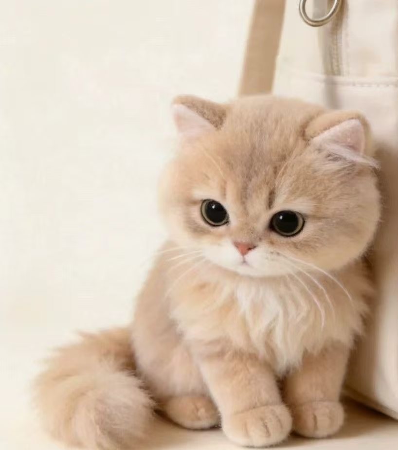 Pendentif de sac chaton en peluche mignon, Mini poupée de chat de Simulation, porte-clés de sac à dos à la mode, ornement, cadeau créatif