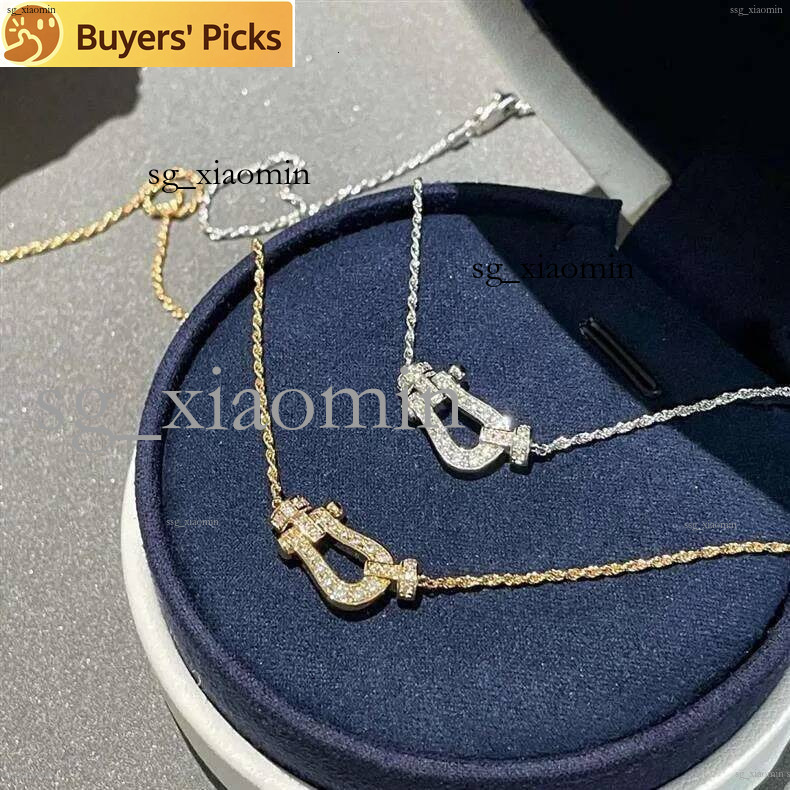 2026Designer pour femmes boucle en fer à cheval pendentif en cristal chaîne torsadée collier 10 styles en acier titane bijoux de mode de luxe usa
