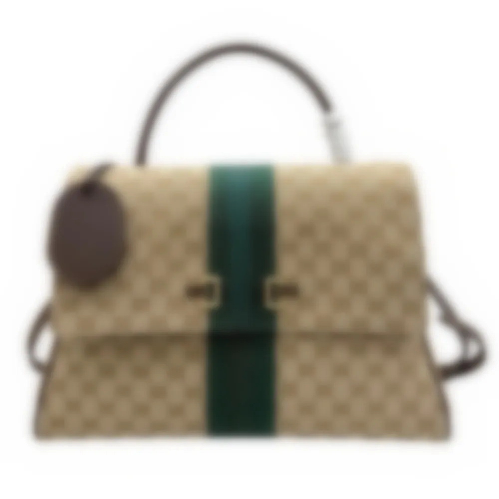 Fashion top Luxury Designer Bag Handbags High Quality Bag Shoulder Bags Fashion Messenger Crossbody Purses Designer Woman Handbag purse