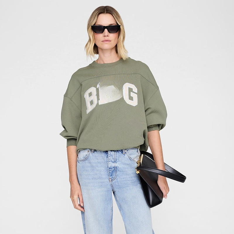 26 North American Niche Applique BING Embroidered Fleece Lined Crew Neck Cotton Women Sweatshirt Streetwear