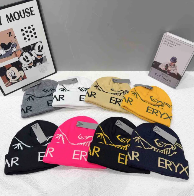 Top Designer Beanie Winter hat cap Classic Designer Wool Cashmere Arc Beanie Fashion Classic Designer Beanie Arcs Beanies Bonnet Luxe Skull Cap Casq