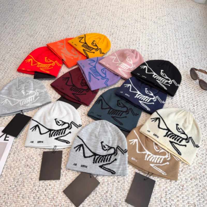Wool beanie for men woman ARC letter embroidery High Quality sports street style beanie Ski cap Keep warm Sweating Knitted woolen hat Multiple color