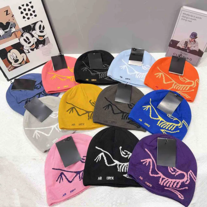 hat cap Classic Designer Wool Top Designer Beanie Winter Cashmere Arc Beanie Fashion Bonnet Luxe Skull Cap Casquette Hat Street style Unisex Autumn