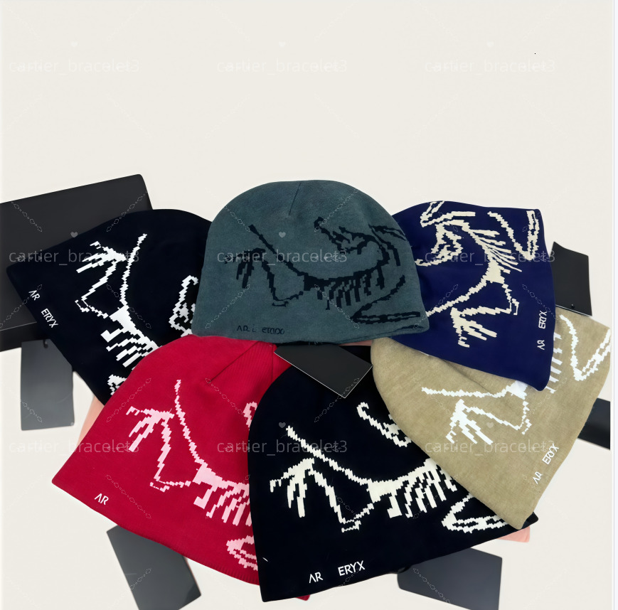arc designer wool luxury cashmere hat embroidered ancient bird pattern street fashion brand beanie autumn and winter warm ski hats b4