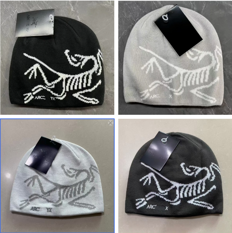 2026 Designer Women Men Classic beanie wool hat luxury cashmere hat embroidered ancient bird pattern street fashion brand arc beanie autumn and wint