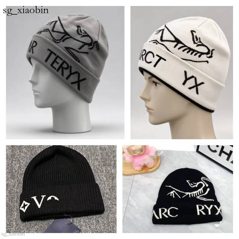 Classic designer wool luxury cashmere hat embroidered ancient bird pattern street fashion brand arc beanie autumn and winter warm ski hats best H