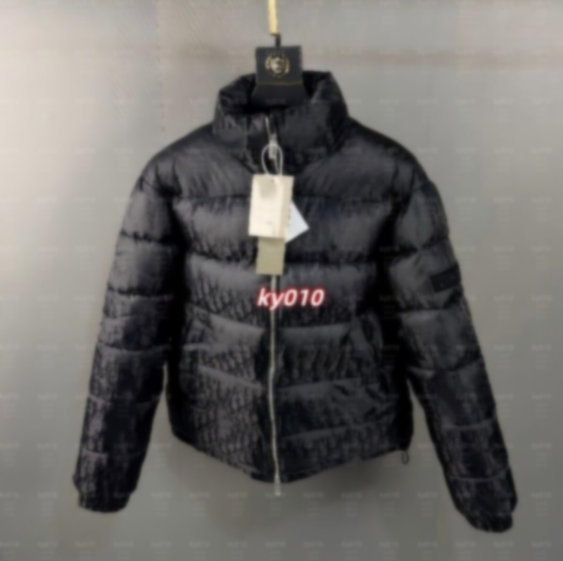 Designer Parkas winter puffer jackets Luxury brand mens down jacket men woman warm men clothing leisure hoodie womans designer coats men vest gilet