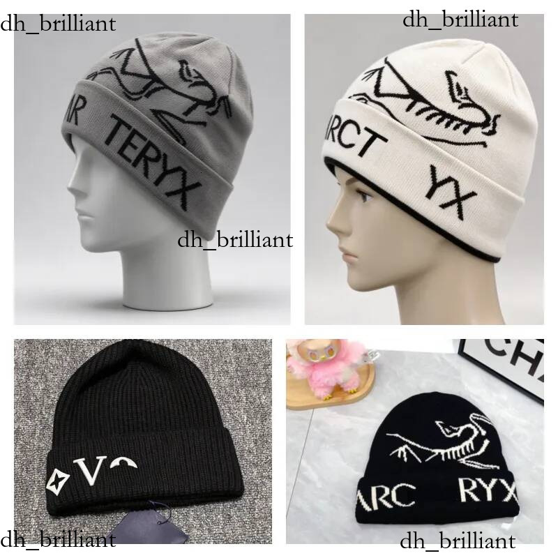 Classic designer wool luxury cashmere hat embroidered ancient bird pattern street fashion brand arc beanie autumn and winter warm ski hats best H