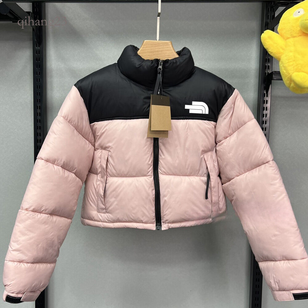 Northd Face 700 Caot Winter Jacket Women Designer Northd Face Puffer Jackets Embroidered Stand Up Collar Thick Warm Outwear Crop Down Jacket Tnfs Co
