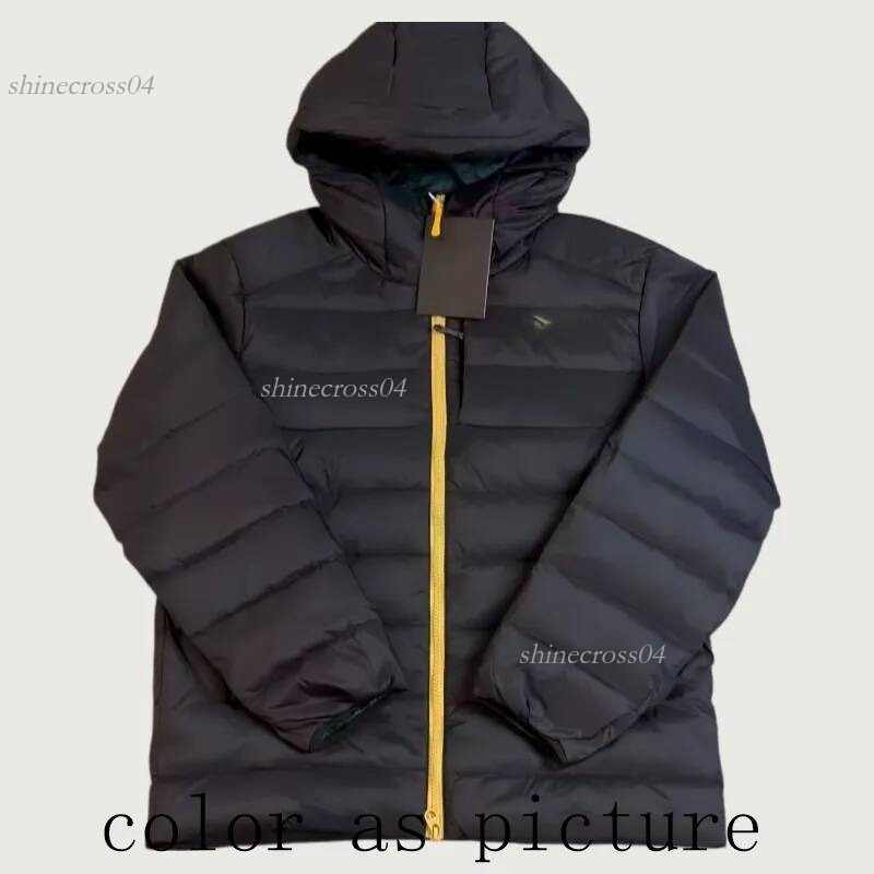 Arcteryxlynessitys Jacket Mens Ski Jacket Windbreaker Designer Sweatshirt Winter Warm Feng Shui Skiing Jacket Thicken Archteryxnessity Puffer Jacket