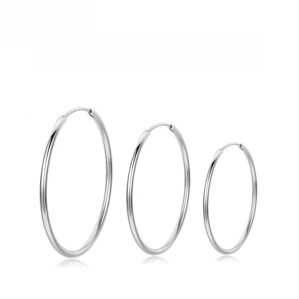 2026 F136 Alloy Plain Earrings For Women, Light Luxury, High-End, Elegant Earrings, G23 Titanium cologne perfume Exagger L4