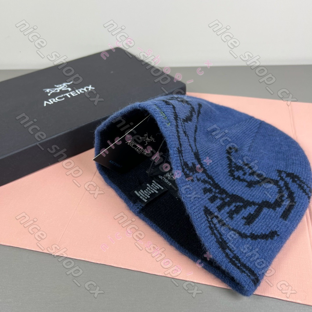 Classic arc beanie designer wool hat luxury cashmere hat embroidered ancient bird pattern street fashion brand Artery beanie GROTO TOQUE warm ski ha