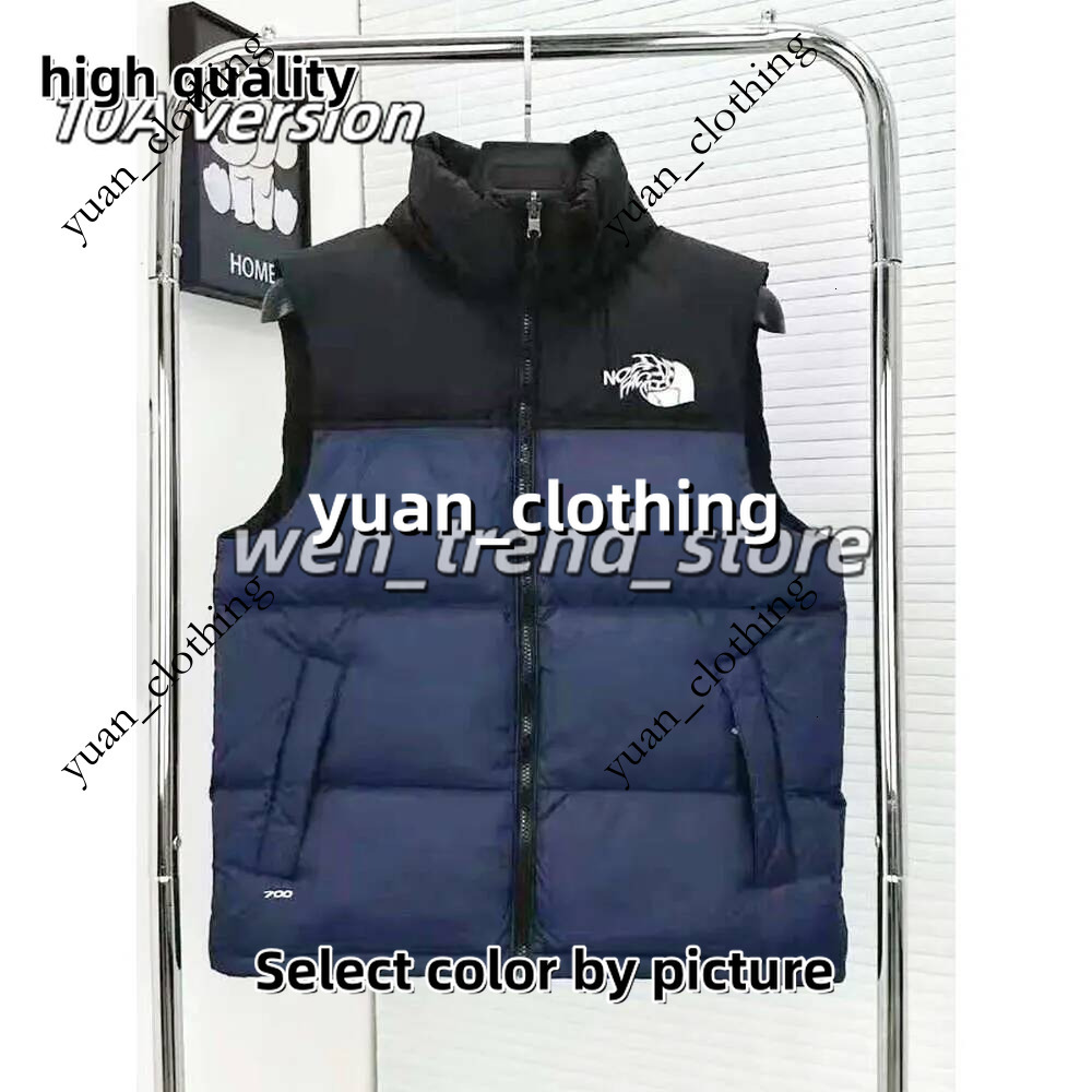 Northe Facelies 700 Vests Designer Mens Jacket Coat Winter Puffer Down Vests Unisex Couple Bodywarmer Womans Mans Facelies Jackets Sleeveless Outdoo