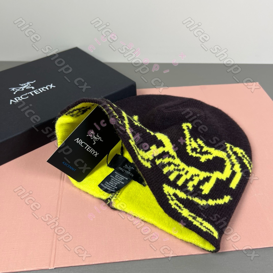 Classic arc beanie designer wool hat luxury cashmere hat embroidered ancient bird pattern street fashion brand Artery beanie GROTO TOQUE warm ski ha