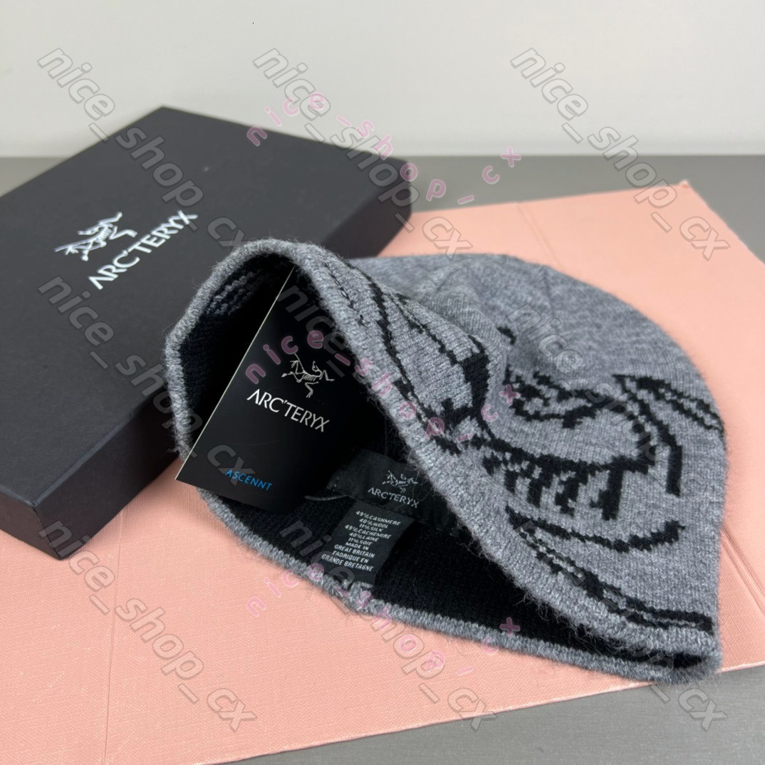 Classic arc beanie designer wool hat luxury cashmere hat embroidered ancient bird pattern street fashion brand Artery beanie GROTO TOQUE warm ski ha
