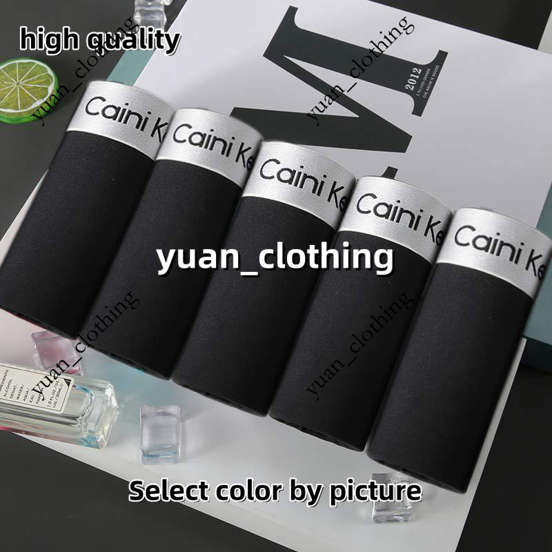 calvied Klienboxers Underwear Brand Calecon Fashion Designer Sexy Shorts Cotton Underwear Men's Boxer Shorts Underwear Boxer Shorts 5 pieces 98